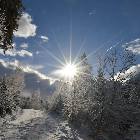 Haus Oblasser Lejlighed *