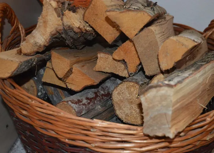 Lejlighed Haus Oblasser