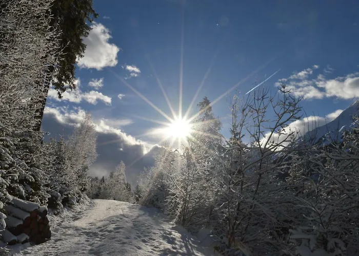 Haus Oblasser Lejlighed *